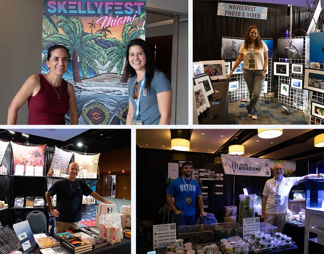 Skellyfest 2024